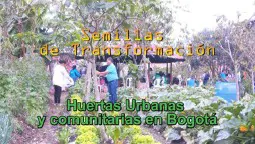 XIX Edició